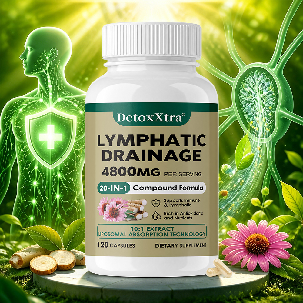 Echinacea - Suplement do oczyszczania limfatycznej układania, wspomaga
